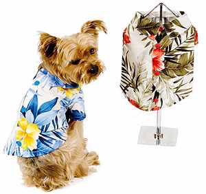 Preview of Modern Tails Hibiscus Hawaiian Shirt.